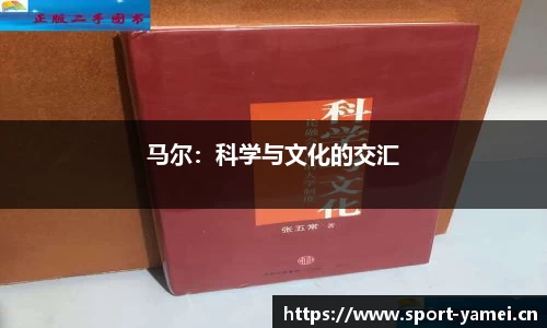 亚美体育官网